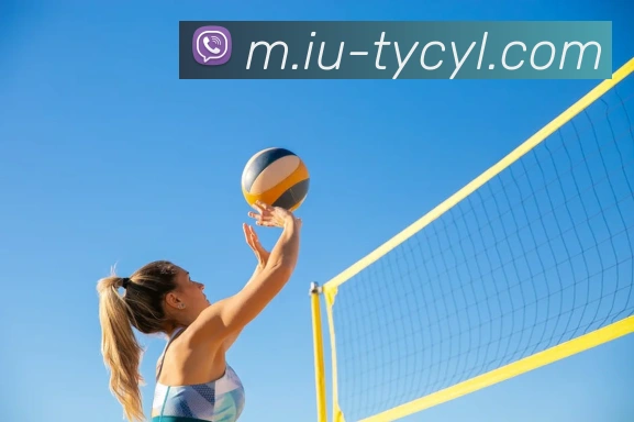 澳门太阳城服务体系